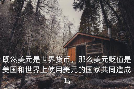 既然美元是世界貨幣，那么美元貶值是美國(guó)和世界上使用美元的國(guó)家共同造成嗎