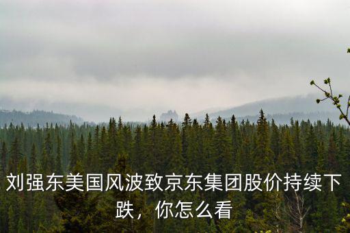 劉強(qiáng)東美國風(fēng)波致京東集團(tuán)股價(jià)持續(xù)下跌，你怎么看