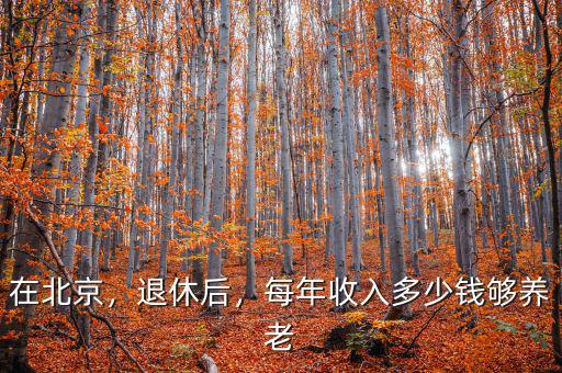 在北京，退休后，每年收入多少錢夠養(yǎng)老