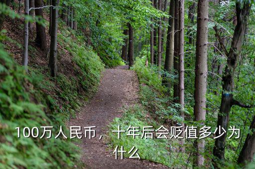 100萬人民幣，十年后會貶值多少為什么