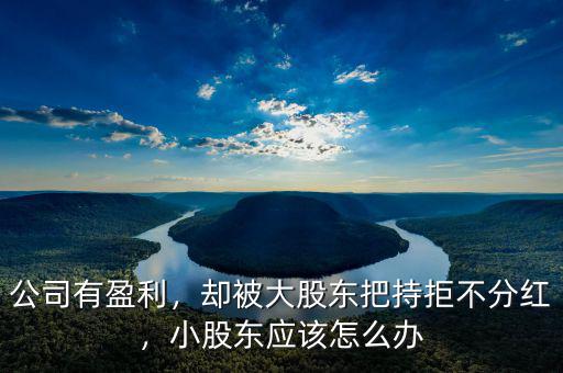 公司有盈利，卻被大股東把持拒不分紅，小股東應(yīng)該怎么辦