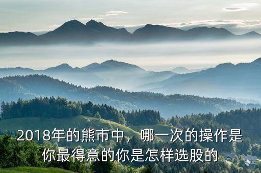 2018年的熊市中，哪一次的操作是你最得意的你是怎樣選股的