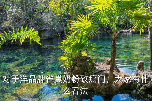 對于洋品牌雀巢奶粉致癌門，大家有什么看法