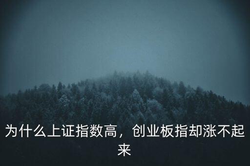為什么上證指數(shù)高，創(chuàng)業(yè)板指卻漲不起來