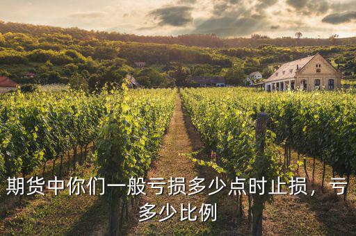 期貨中你們一般虧損多少點(diǎn)時(shí)止損，虧多少比例