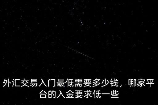 外匯交易入門(mén)最低需要多少錢(qián)，哪家平臺(tái)的入金要求低一些