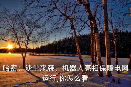 哈密：沙塵來襲，機(jī)器人亮相保障電網(wǎng)運(yùn)行,你怎么看