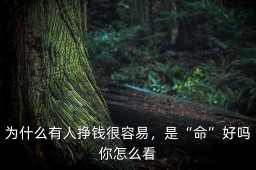 為什么有人掙錢很容易，是“命”好嗎你怎么看
