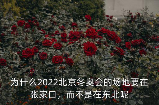 為什么2022北京冬奧會的場地要在張家口，而不是在東北呢