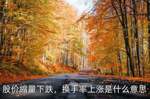 股價縮量下跌，換手率上漲是什么意思