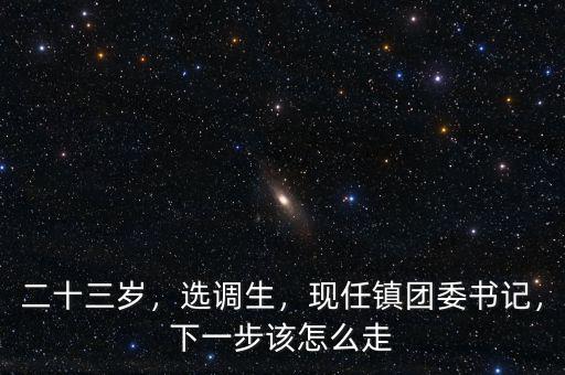 二十三歲，選調(diào)生，現(xiàn)任鎮(zhèn)團(tuán)委書記，下一步該怎么走