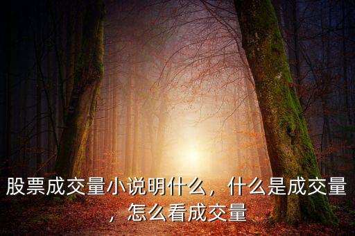 股票成交量小說明什么，什么是成交量，怎么看成交量