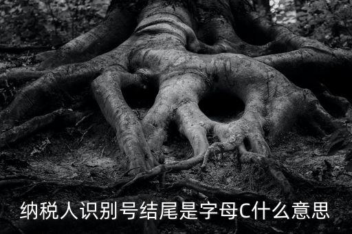 c級納稅人是什么意思，納稅人識別號結(jié)尾是字母C什么意思