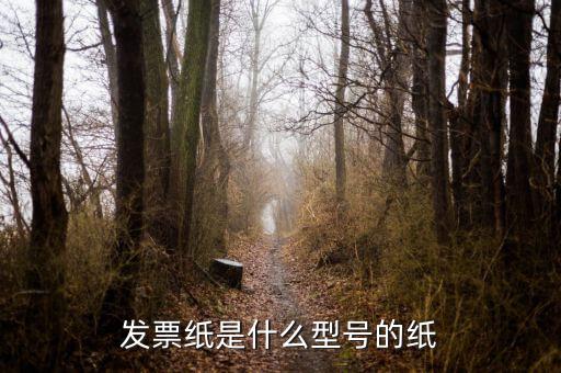 發(fā)票用什么紙，發(fā)票紙是什么型號(hào)的紙