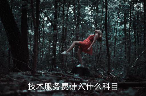 技術(shù)服務(wù)收入計(jì)入什么科目，收到技術(shù)服務(wù)費(fèi)計(jì)入什么科目