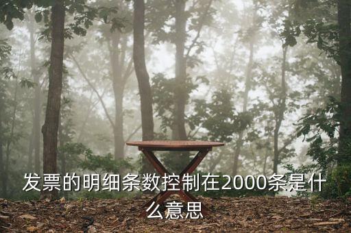 發(fā)票明細(xì)什么意思，發(fā)票的明細(xì)條數(shù)控制在2000條是什么意思