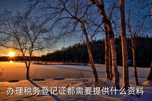 稅務(wù)登記都需要什么資料，辦理稅務(wù)登記證都需要提供什么資料