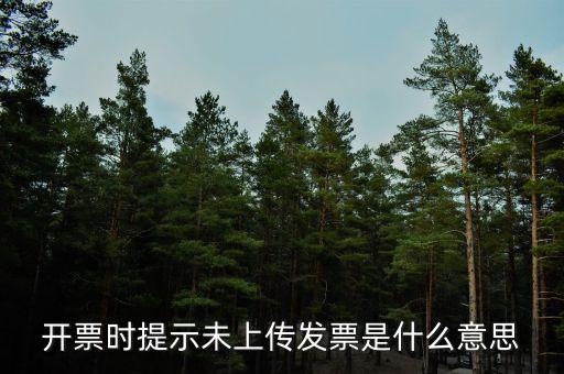 打發(fā)票時(shí)顯示未上傳是什么原因，電子發(fā)票未上傳