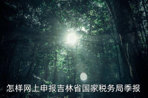 吉林省用什么報稅系統(tǒng)，吉林省的報稅系統(tǒng)如何使用
