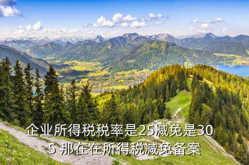 增值稅優(yōu)惠什么備案表，增值稅減免稅備案需要哪些資料