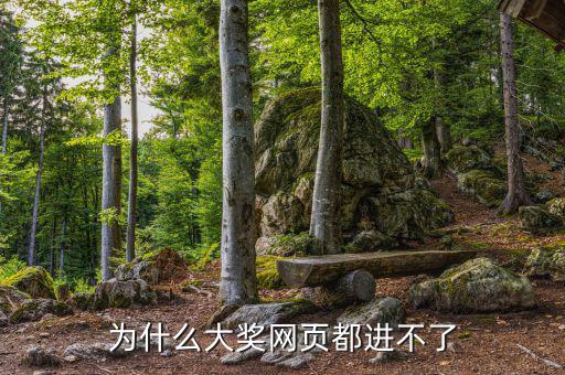 航天金穗網(wǎng)為什么進(jìn)不去網(wǎng)頁，WW3ZHONGCN這個(gè)網(wǎng)站怎么進(jìn)不去了呢
