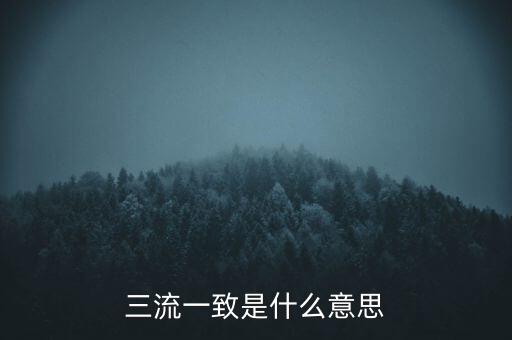發(fā)票 流向一致是什么意思，發(fā)票四流一致是哪四流
