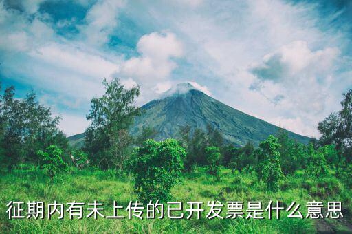 申報沒上傳是什么意思，我在財務申報時沒上傳第二天可以不傳嗎
