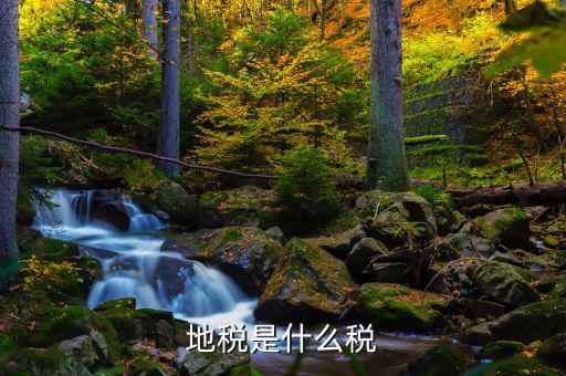 地稅專項(xiàng)收入是什么稅，地稅是什么稅
