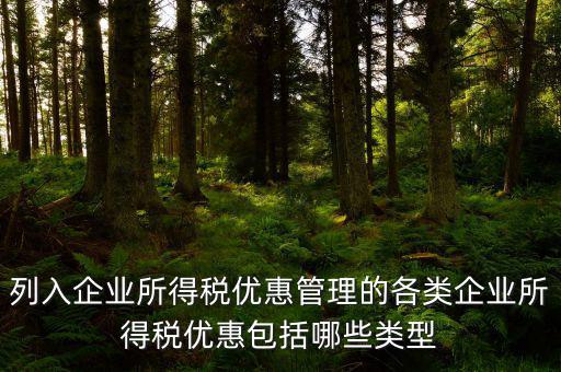 企業(yè)所得稅優(yōu)惠事項名稱指什么，享受企業(yè)所得稅優(yōu)惠申請表中稅收優(yōu)惠事項名稱怎么填