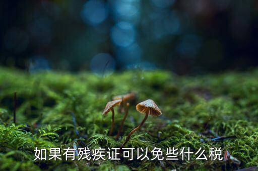 殘疾人免征什么稅，如果有殘疾證可以免些什么稅