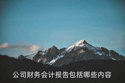 公司財務(wù)會計報告包括哪些內(nèi)容
