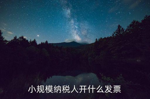 成都小規(guī)模應(yīng)開什么發(fā)票，小規(guī)模納稅人開什么發(fā)票