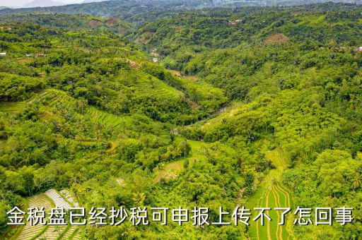 金稅申報發(fā)送不了是什么原因，金稅盤已經(jīng)抄稅可申報上傳不了怎回事