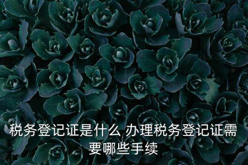 地稅局登記是什么，地稅辦理稅務(wù)登記需要哪些資料