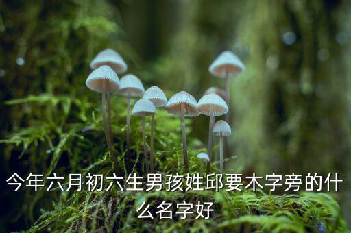稅什么邱什么的名字，孩子姓邱該取什么名字呢男女都行
