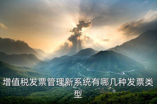 增值稅發(fā)票管理新系統(tǒng)是什么，增值稅開(kāi)票系統(tǒng)有幾種 增值稅開(kāi)票系統(tǒng)有哪些