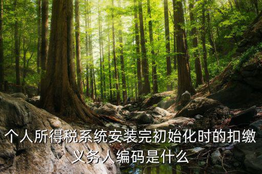 扣繳人義務(wù)編碼是什么，扣繳義務(wù)人編碼是什么啊