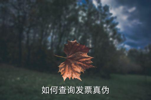 查驗(yàn)發(fā)票需要什么信息，發(fā)票怎么去稅務(wù)局驗(yàn)證需要什么資料
