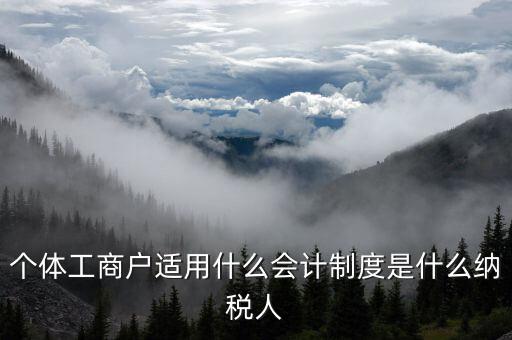 個體工商戶適用什么會計(jì)制度是什么納稅人