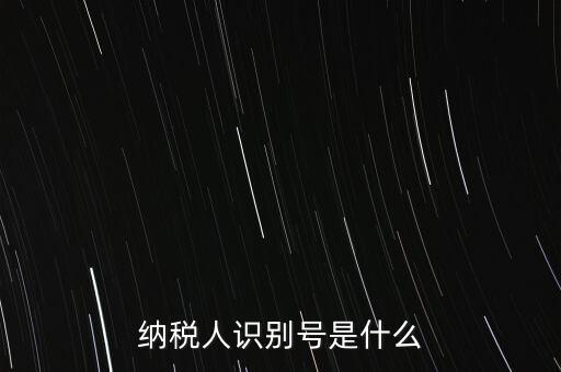 電子稅務(wù)局納稅人識(shí)別號(hào)是什么，納稅人識(shí)別號(hào)是什么