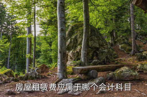 租房費(fèi)用計(jì)入什么科目，房屋租賃費(fèi)應(yīng)屬于哪個會計(jì)科目