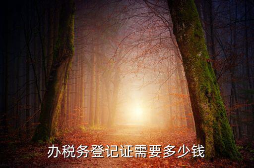 稅務(wù)局登記需要什么手續(xù)費(fèi)，辦稅務(wù)登記證需要多少錢(qián)