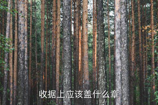 收據(jù)應(yīng)蓋什么章，收據(jù)蓋什么章有規(guī)定嗎