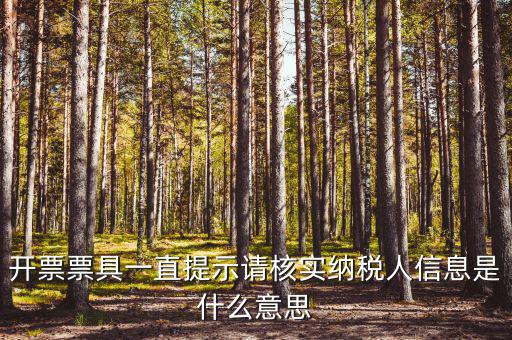 開(kāi)票票具一直提示請(qǐng)核實(shí)納稅人信息是什么意思