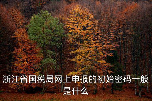 浙江省國稅局網上申報的初始密碼一般是什么