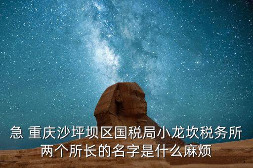 稅務所所長什么級別，地稅局基層稅務所屬什么層級