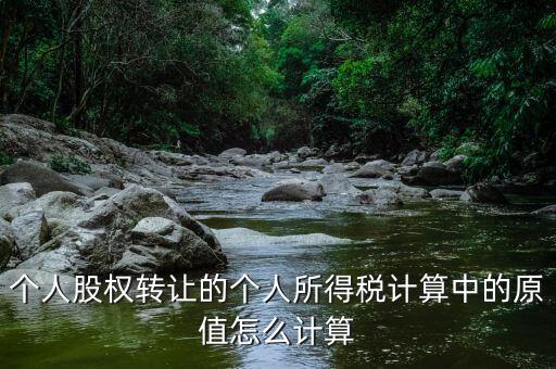 股權(quán)原值是什么，公司注冊(cè)資本是100萬現(xiàn)在要轉(zhuǎn)讓股權(quán)那股權(quán)原值是多少股權(quán)轉(zhuǎn)