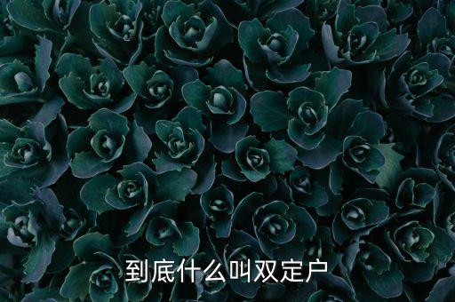 什么是雙定戶，雙翅一一翻雙眉什么雙眼什么