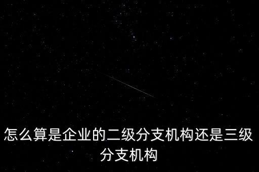 什么叫企業(yè)二級分支機構，現在分公司要辦稅務登記證但是我想問一下二級分機構指的是