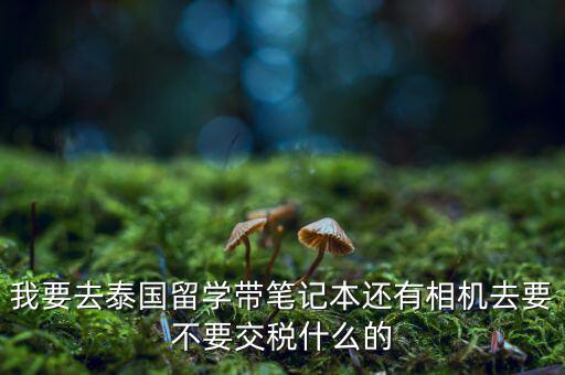 泰國(guó)什么人需要納稅，我要去泰國(guó)留學(xué)帶筆記本還有相機(jī)去要不要交稅什么的
